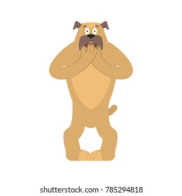 Dog scared OMG. Pet Oh my God emoji. Frightened bulldog. Vector illustration