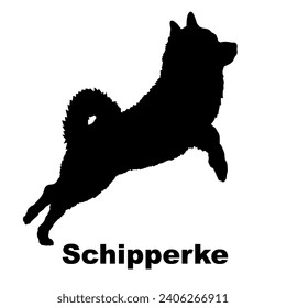 Dog Schipperke silhouette Breeds Bundle Dogs on the move. Dogs in different poses.
The dog jumps, the dog runs. The dog is sitting lying down playing
