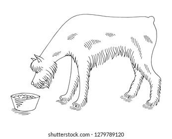 Dog schnauzer eating from the bowl graphic black white sketch illustration vector