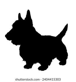 Dog Scotch terrier silhouette Breeds Bundle Dogs on the move. Dogs in different poses.
The dog jumps, the dog runs. The dog is sitting lying down is playing
