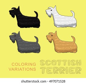Dog Scottish Terrier Coloring Variations Vector Illustration
