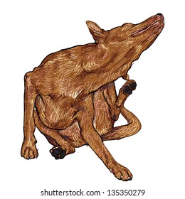 The dog is scratching itself