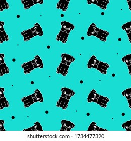 Dog seamless pattern black french bulldog puppy vector background. Cartoon wallpaper isolated on blue background.