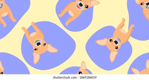 Dog seamless pattern, Chihuahua and blue pattern on yellow background.	
