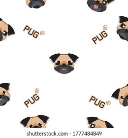 Patrón ininterrumpido de perro, Pug sobre fondo blanco, iconos de perro. 