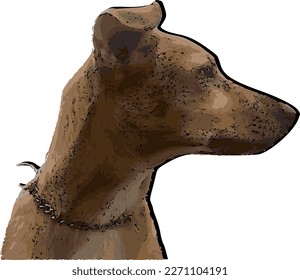 dog seen in profile in vector