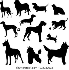 Set Labrador Retriever Silhouettes Isolated Vector Stock Vector 