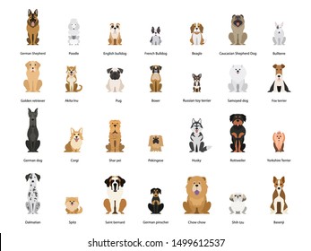 Dog set. Collection of dogs of various breed. Cute funny domestic pet. Dalmatian and german shepherd. Group of animal. Isolated vector illustration in cartoon style