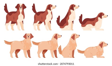 Dog set. Collection of dogs of various breed in different positions. Cute funny domestic pet standing, sitting, laying. Flat vector illustration in cartoon style