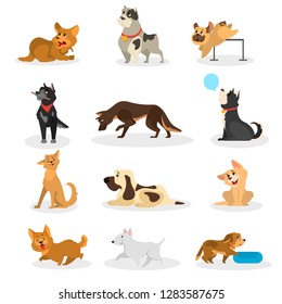 Dog set. Collection of pet doing different activity. Cute animal in different pose. Happy puppy. Isolated vector illustration in cartoon style