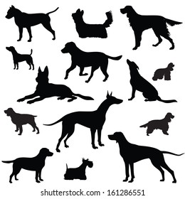 Dog set. Collection of vector silhouette 