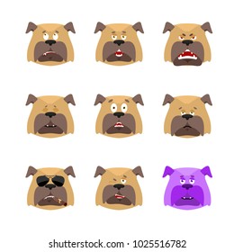 Dog set emoji avatar. sad and angry face. guilty and sleeping. Pet sleeping emotion face. Bulldog Eggplant. Vector illustration