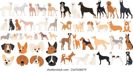 dog set in flat design,on white background isolated vector