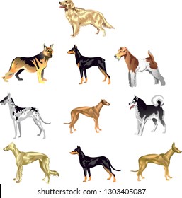 Dog Set, German Sheperd, Doberman, Terrier, Arctic, Hound And Poodle , Pet Animal - Vector Illustration