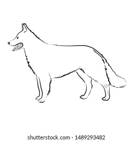 Dog Set. Stock vector illustration with dog
