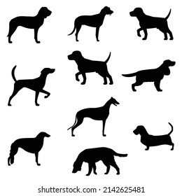 dog set vector design isolated on white background