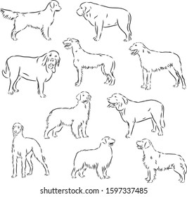 Dog set, vector sketch illustration 