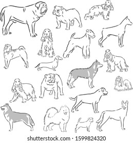 Dog set, vector sketch illustration 
