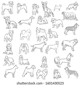 Dog Set, Vector Sketch Illustration 