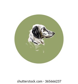 dog, setter, illustration, vector
