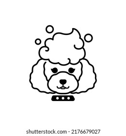 Dog, shampoo toy poodle, vector line symbol design