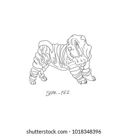 dog, shar pei, hand drawn illustration.