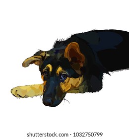 dog sheepdog 3d realistic vector illustration