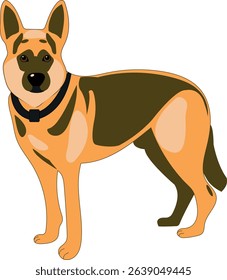 Dog, shepherd, club, show, man's best friend, purebred dog, purebred dogs, security, dog and animal training, guide dog,  shelter, boarding, mating,  sales,