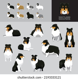 Dog Shetland Sheepdog Cartoon Vector Illustration Color Variation Set