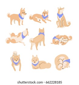 Dog Shiba Inu Variations Act Vector Illustraion.