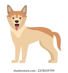 dog shiba inu vector isolated