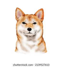 Hund Shiba Aquarellmalerei. Adorable Welpen, einzeln auf weißem Hintergrund. Realistisches süßes Hundeporträt, Vektorgrafik