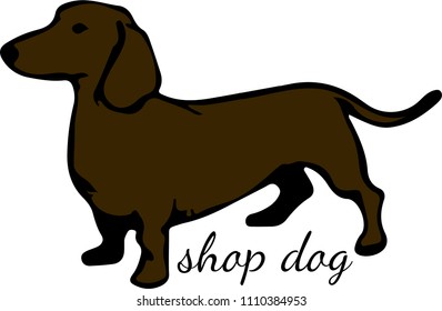 Dog shop. Standing silhouette vector logo design template. Dachshund in brown color