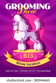 Dog show flier, banner or template with information for grooming show or dog show.
Cute beautiful poodle on a winners pedestal. 