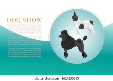 Dog show with poodel and bulldog breeds vector illustration poster. Big size dogs for home pets. Happy and friendly dogs show presented in cartoon style with text space and typography.