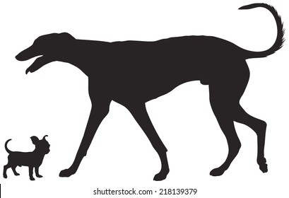 Dog Show Vector Silhouettes, Chihuahua And Greyhound Dog Breeds, Little And Big Dogs