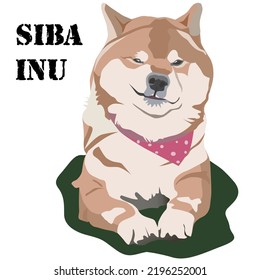 Hund der Inu-Rasse von Siba auf weißem Hintergrund