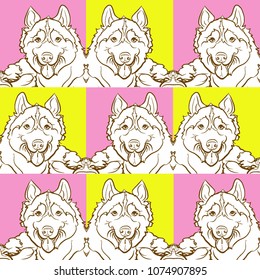 dog, Siberian Husky can be used for wallpaper, pattern fills, textile, web page background, surface texture, image for advertising booklets, banner