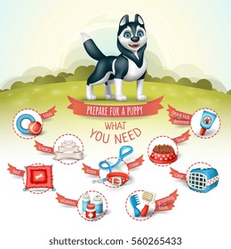 Dog siberian husky and dog`s related items infographics. Icon set