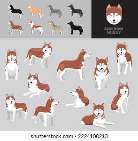 Dog Siberian Husky Red Coat Cartoon Vector Illustration Color Variation Set