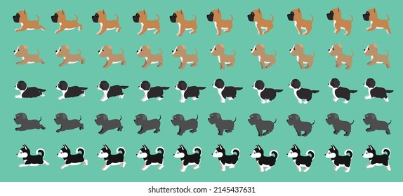 Dog Siberian Husky Shnauzer Australian Shepherd Staffordshire Terrier Boxer Walking Running Cartoon Vector Set