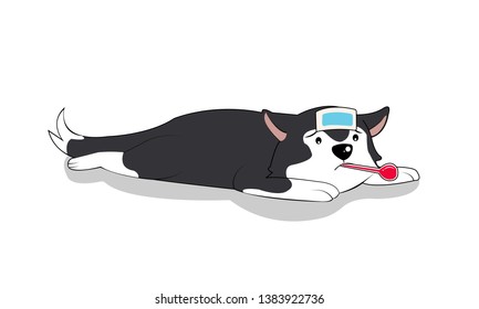 Dog sick use cooling fever patch and thermometer.