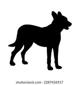 Hund aus der Seitensilhouette. Vektorhunderassen