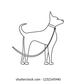 dog side view linear illustration. Pets and grooming