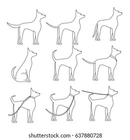 A dog sideways in full growth sketch in different poses. Walking with pet