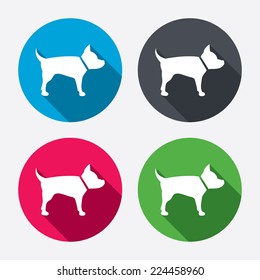 Dog sign icon. Pets symbol. Circle buttons with long shadow. 4 icons set. Vector