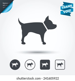 Dog sign icon. Pets symbol. Circle and square buttons. Flat design set. Thank you ribbon. Vector