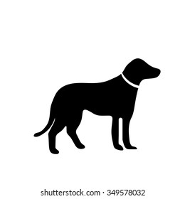 Dog sign icon. Pets symbol