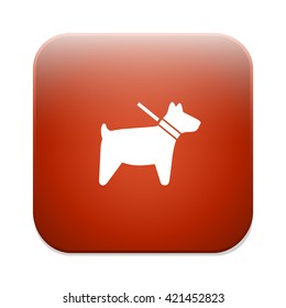 Dog sign icon. Pets symbol.