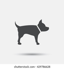 Dog sign icon. Pets symbol. Flat pets web icon on white background. Vector